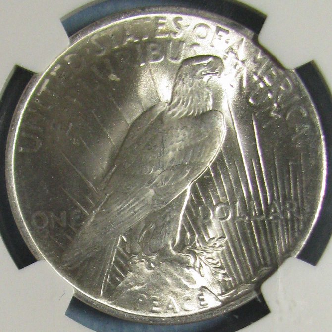 Gem-BU-1923-Peace-Dollar-With-CAC-Green-Bean